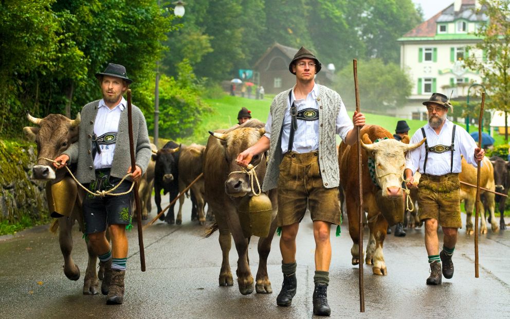 Viehscheid in Schwangau